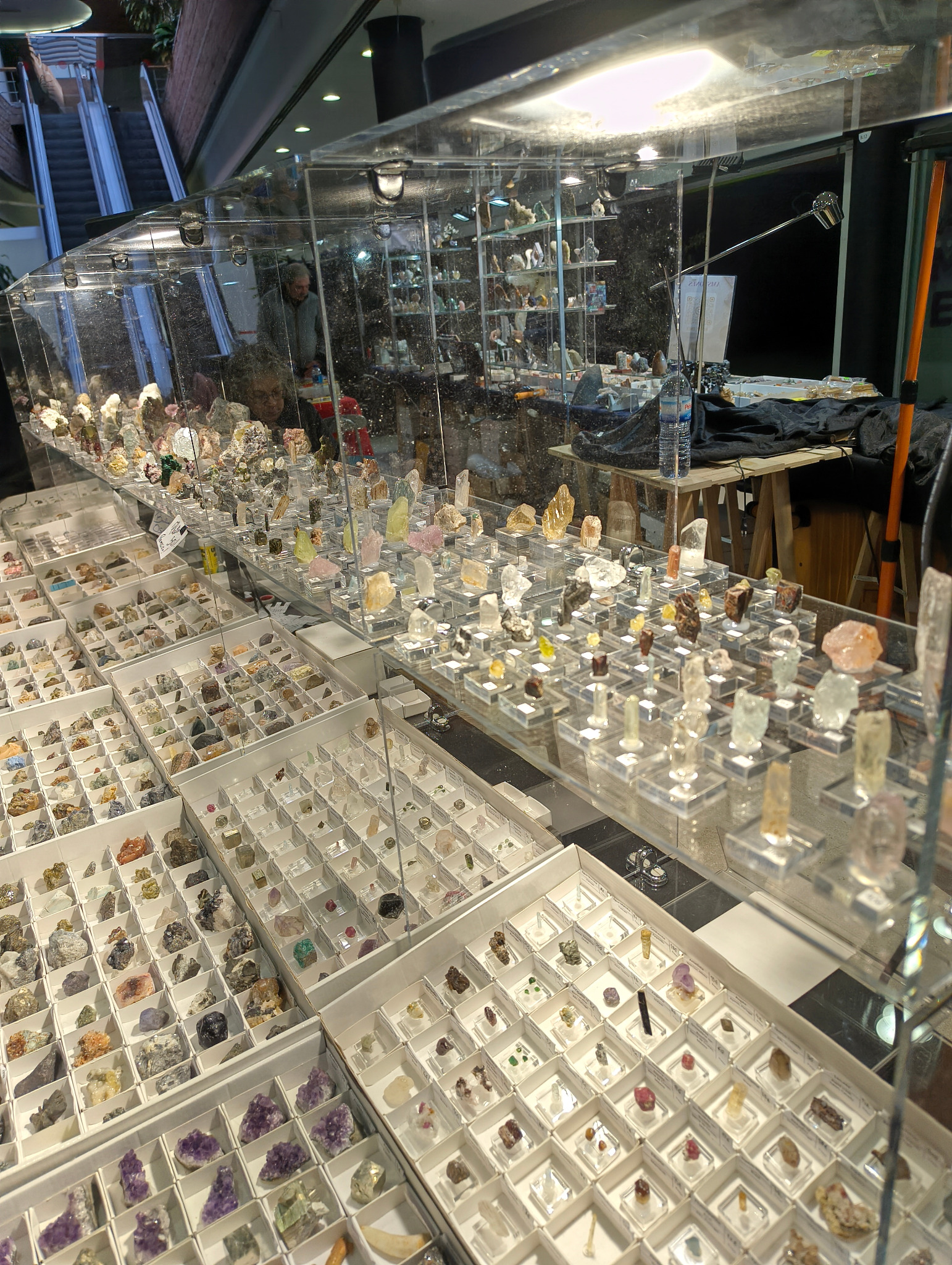 Exemplares de minerais em exposição na banca da Harp Minerals.